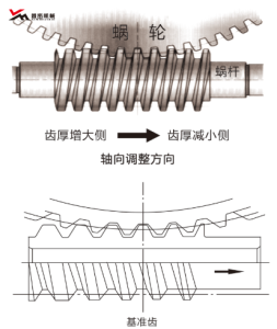 双导程精密蜗轮蜗杆